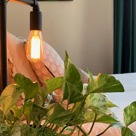 Le 14 St Michel Bed & Breakfast Josselin