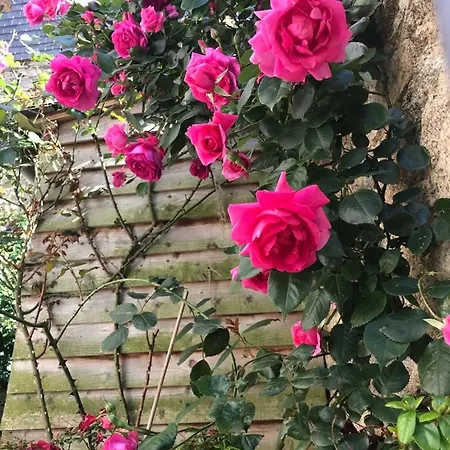Bed & Breakfast Le 14 St Michel 2*